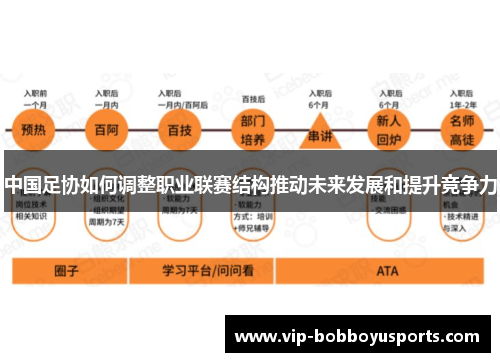 中国足协如何调整职业联赛结构推动未来发展和提升竞争力