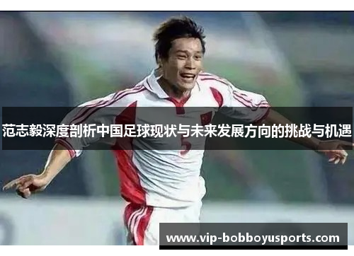 范志毅深度剖析中国足球现状与未来发展方向的挑战与机遇