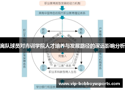 离队球员对青训学院人才培养与发展路径的深远影响分析