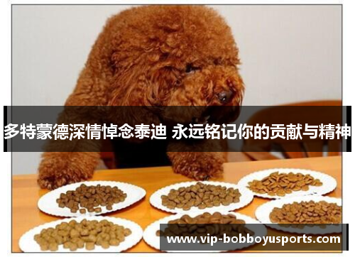 多特蒙德深情悼念泰迪 永远铭记你的贡献与精神