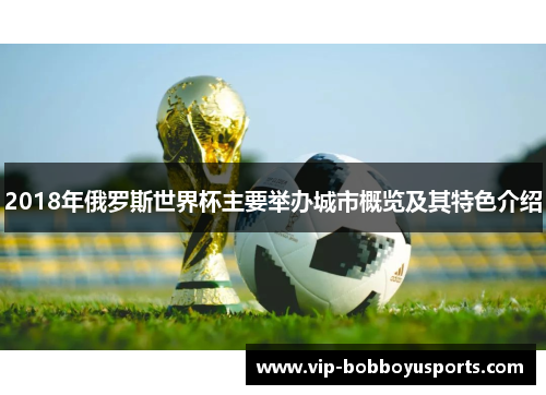 2018年俄罗斯世界杯主要举办城市概览及其特色介绍