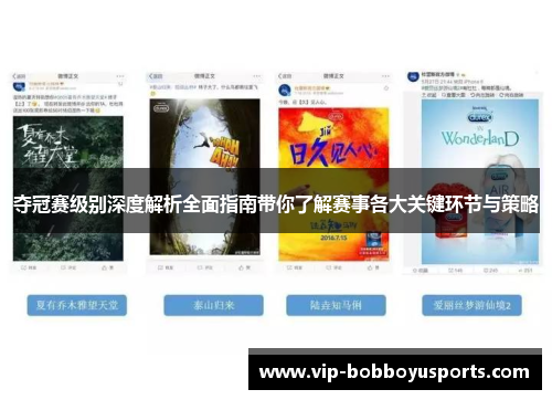 夺冠赛级别深度解析全面指南带你了解赛事各大关键环节与策略