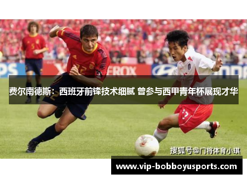 费尔南德斯：西班牙前锋技术细腻 曾参与西甲青年杯展现才华