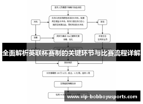 全面解析英联杯赛制的关键环节与比赛流程详解 全面解析英联杯赛制的关键环节与比赛流程详解
